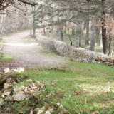 Costeggiamo il bosco di Bellamia
